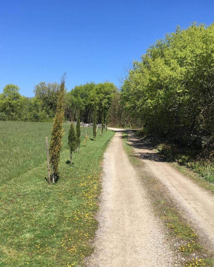 Les Gites Perard Caylus Bagian luar foto