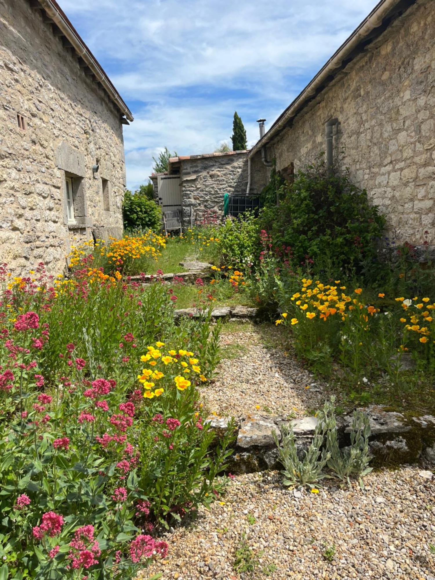 Les Gites Perard Caylus Bagian luar foto