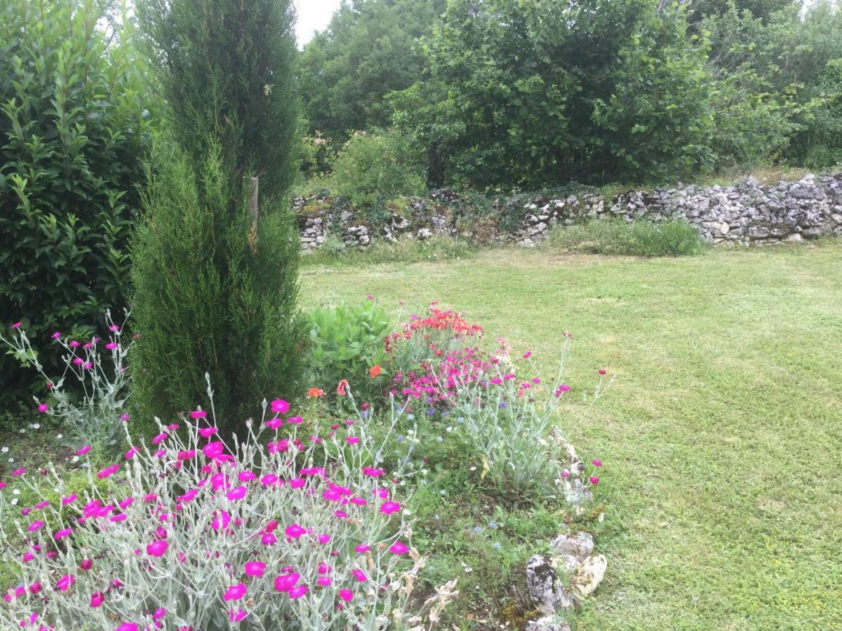 Les Gites Perard Caylus Bagian luar foto